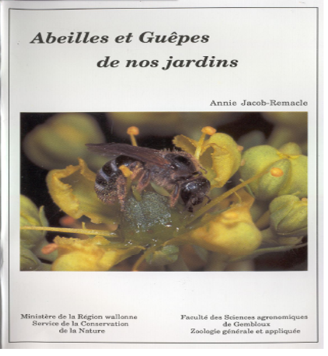 thumbnail - Abeilles et guêpes de nos jardins